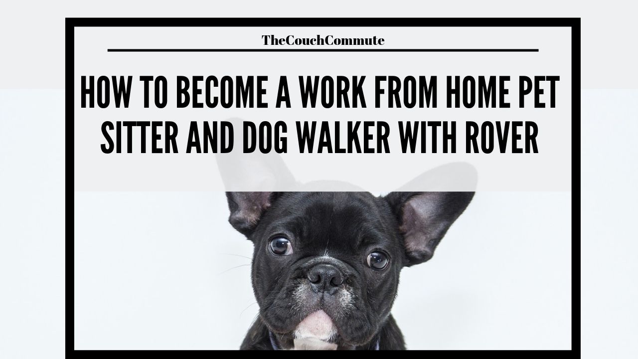 How to work from home as a pet sitter
